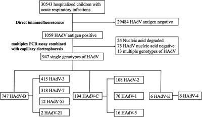 The Epidemiology, Molecular, and Clinical of Human Adenoviruses in Children Hospitalized With Acute Respiratory Infections